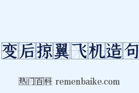 变后掠翼飞机造句是什么意思的图片